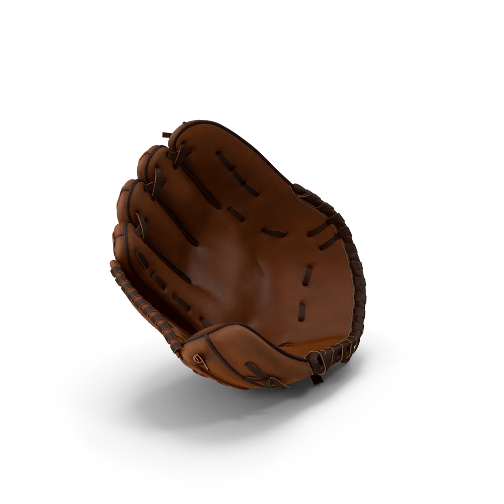 Baseball Glove view 3